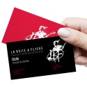 Cartes de visite (8,5 x 5,5 cm)